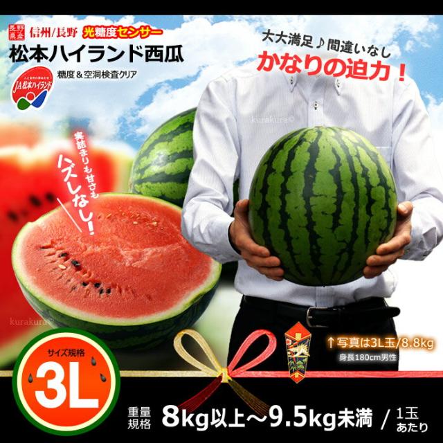 長野JA松本ハイランドスイカ大玉3L販売イメージ