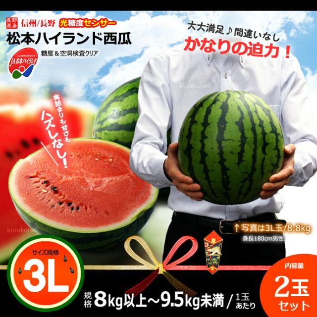 長野JA松本ハイランドスイカ大玉3L2玉販売イメージ