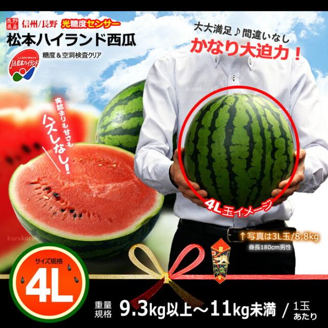 長野JA松本ハイランドスイカ大玉4L販売イメージ