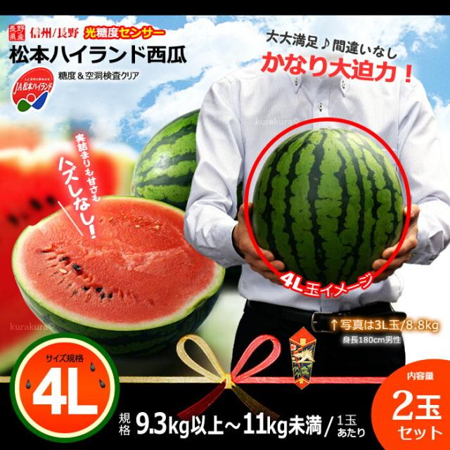 長野JA松本ハイランドスイカ大玉4L2玉販売イメージ
