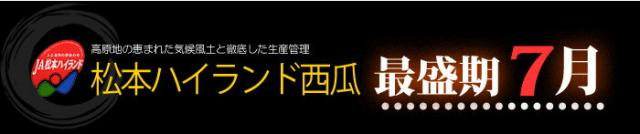 長野JA松本ハイランドすいか最盛期7月