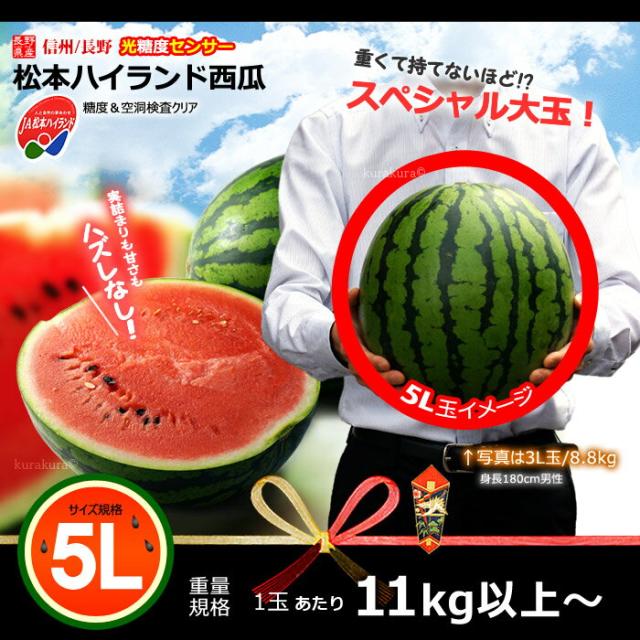 長野JA松本ハイランドスイカ大玉5L販売イメージ