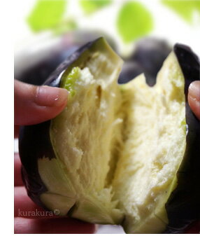 一度は食べてみたい!水なす