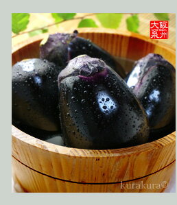 泉州水なす(水茄子)とは?