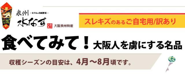 自宅用の訳あり水ナス