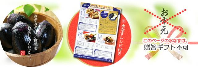 水茄子レシピ集付き