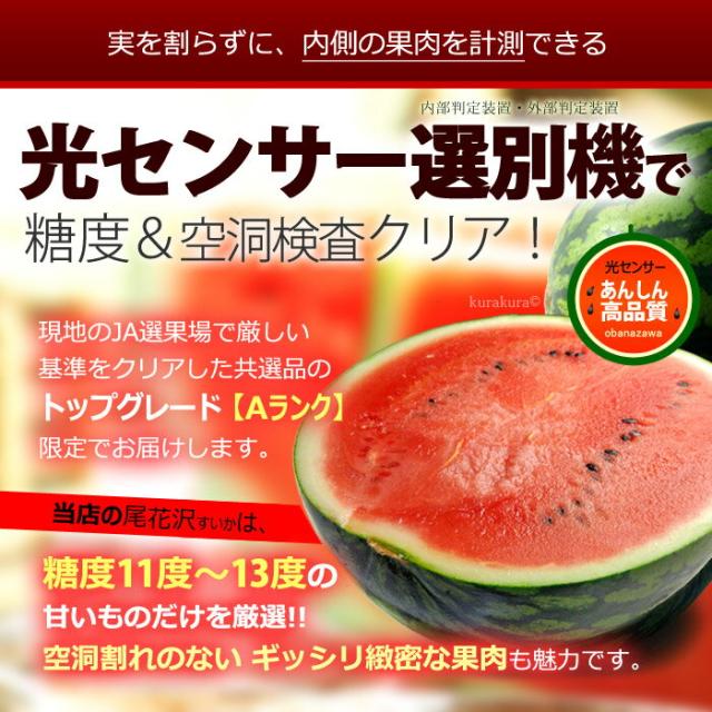 尾花沢スイカ光センサー糖度空洞検査済み