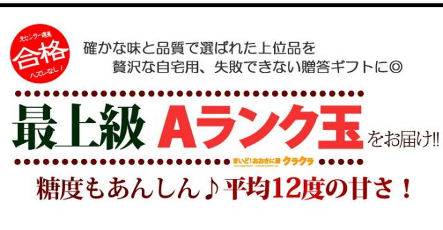 最上級Aランク尾花沢スイカ