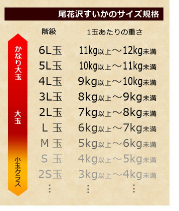 山形尾花沢産の大玉スイカサイズ規格表