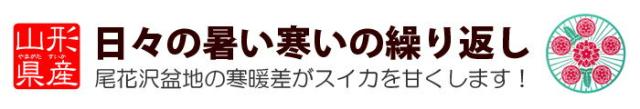 尾花沢盆地がスイカを甘くする