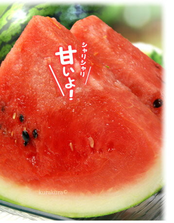 シャリシャリ甘い尾花沢大玉スイカ