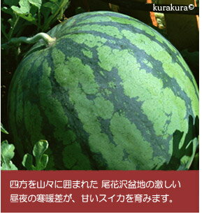 日本縦断大玉スイカリレー山形県産
