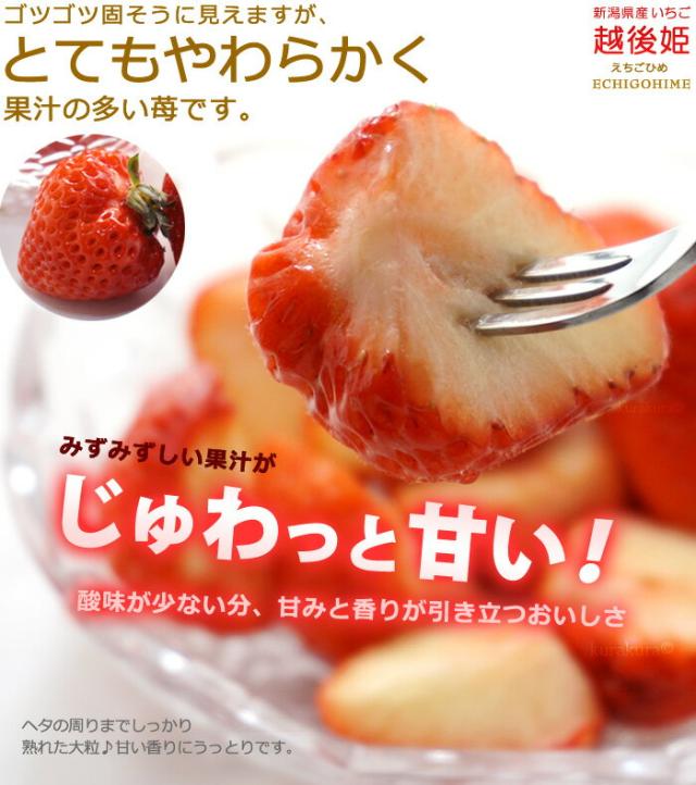 越後姫じゅわっと甘いイチゴ