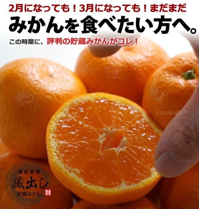 まだまだミカンを食べたい！