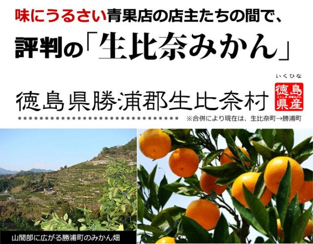 評判のみかん徳島県勝浦生比奈みかん