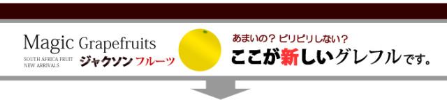 ジャクソンフルーツここが新しい