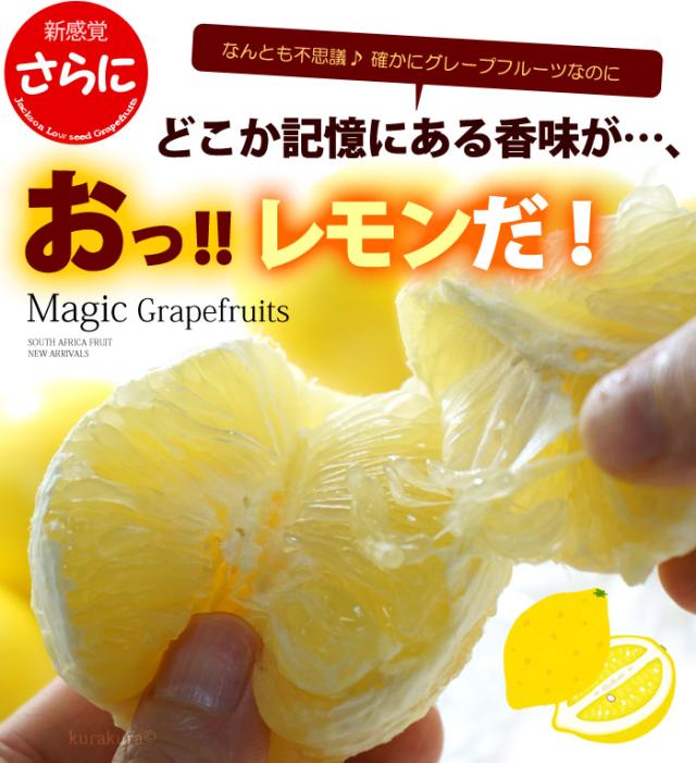 レモン香るジャクソンフルーツ