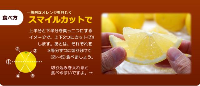 スマイルカット切り方