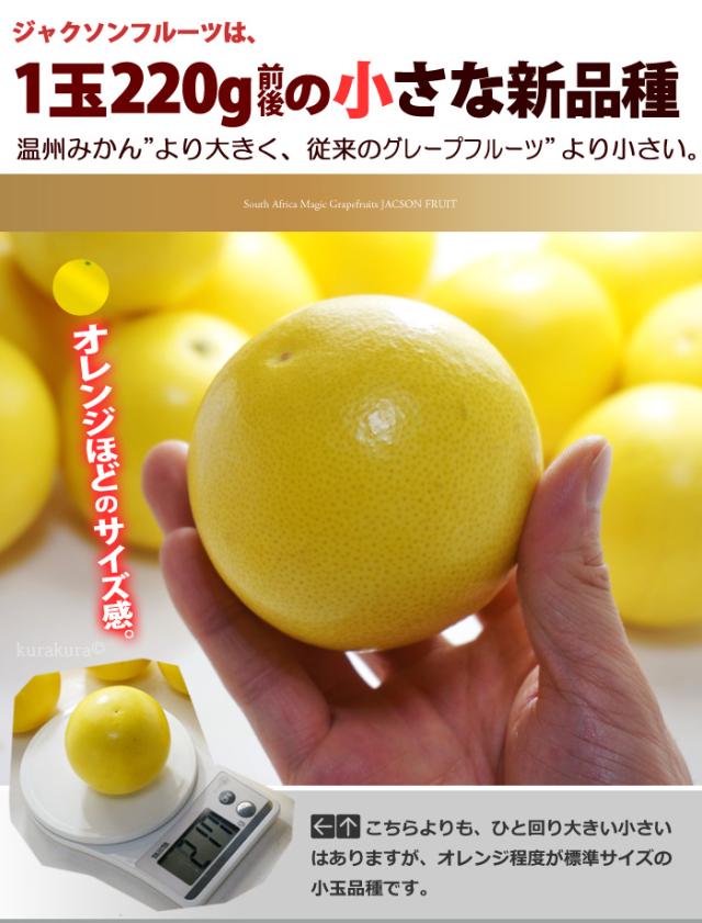 ジャクソンフルーツ小玉品種のグレープフルーツ