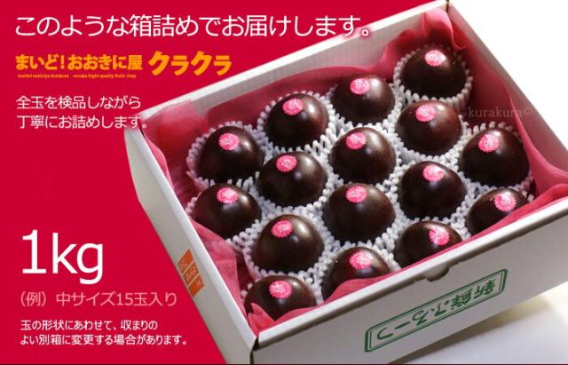 鹿児島パッションフルーツ1kgギフト