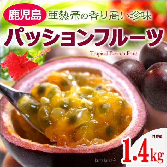鹿児島パッションフルーツ（1.4kg）販売/通販