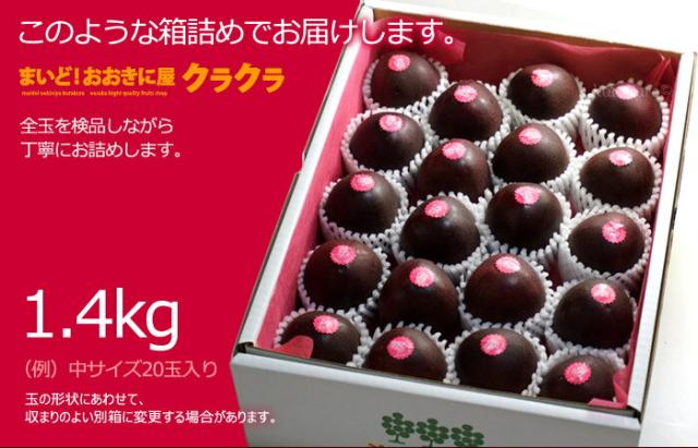 鹿児島パッションフルーツ1.4kgギフト