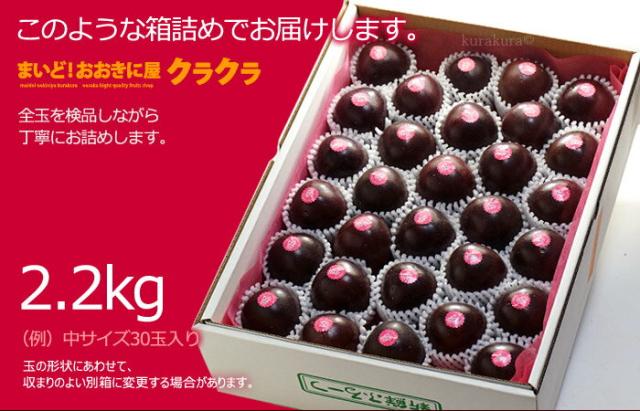 鹿児島パッションフルーツ2.2kgギフト