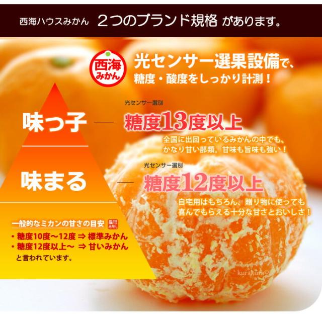 西海みかん三大ブランドの規格比較