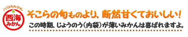 そこらの旬みかんより美味しい味っ子ハウスみかん