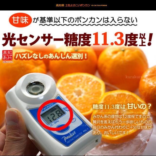 光センサー糖度選別ポンカン