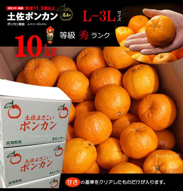 土佐ポンカン光センサー糖度選別10kg箱