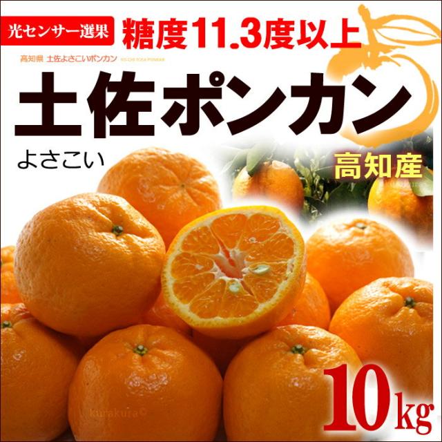 土佐ポンカン秀10kg販売/通販