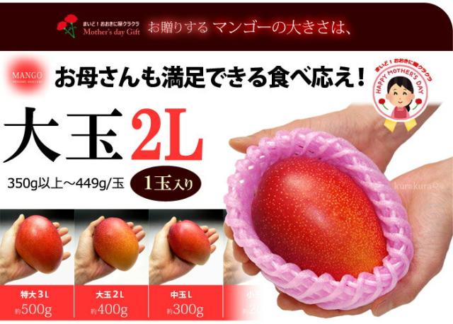 みやざき完熟マンゴー大玉2Lサイズ見本