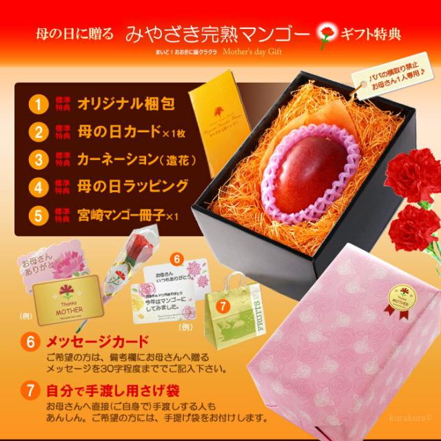 母の日ギフトみやざき完熟マンゴー2L1玉オリジナル化粧箱