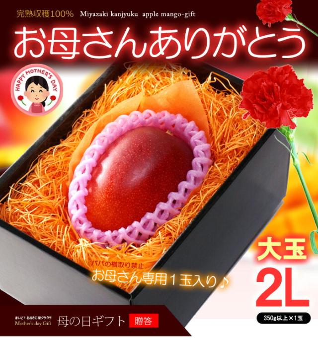 母の日マンゴー太陽のタマゴ(2L1玉)販売/購入