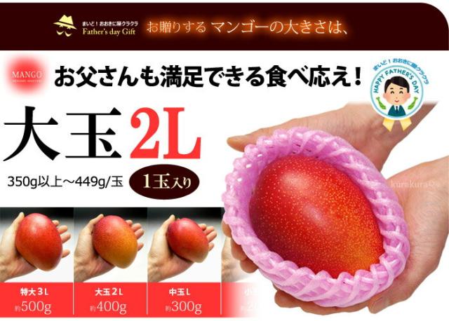 みやざき完熟マンゴー大玉2Lサイズ見本