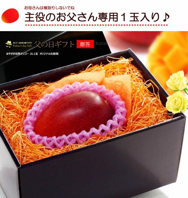 父の日みやざき完熟マンゴー2L1玉化粧箱ギフト販売姿