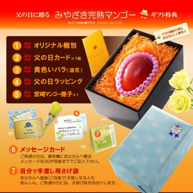 父の日ギフトみやざき完熟マンゴー2L1玉オリジナル化粧箱