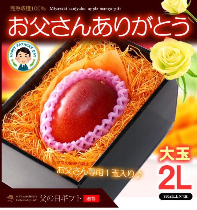 父の日ギフトみやざき完熟マンゴー（2L1玉）販売/購入