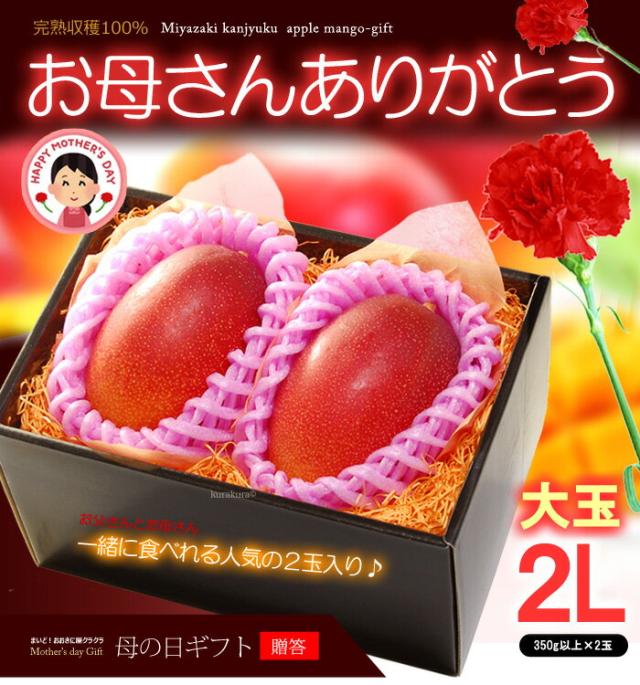 母の日マンゴー太陽のタマゴ(2L2玉)販売/購入