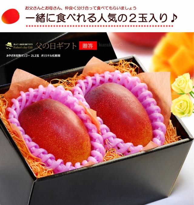 父の日みやざき完熟マンゴー2L2玉化粧箱ギフト販売姿