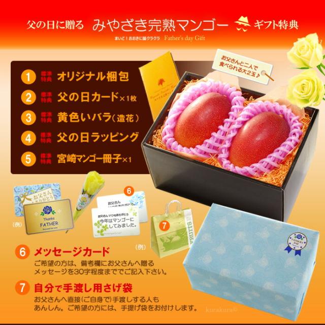 父の日ギフトみやざき完熟マンゴー2L2玉オリジナル化粧箱