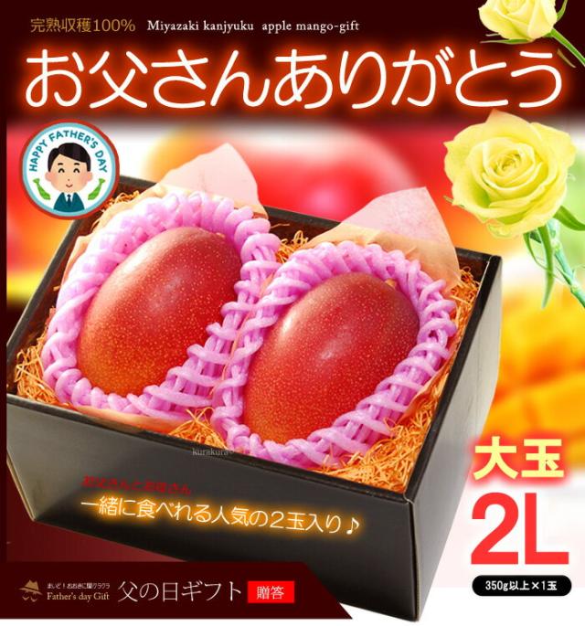 父の日ギフトみやざき完熟マンゴー（2L2玉）販売/購入