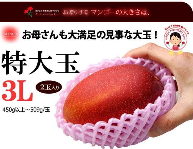 みやざき完熟マンゴー大玉2Lサイズ見本