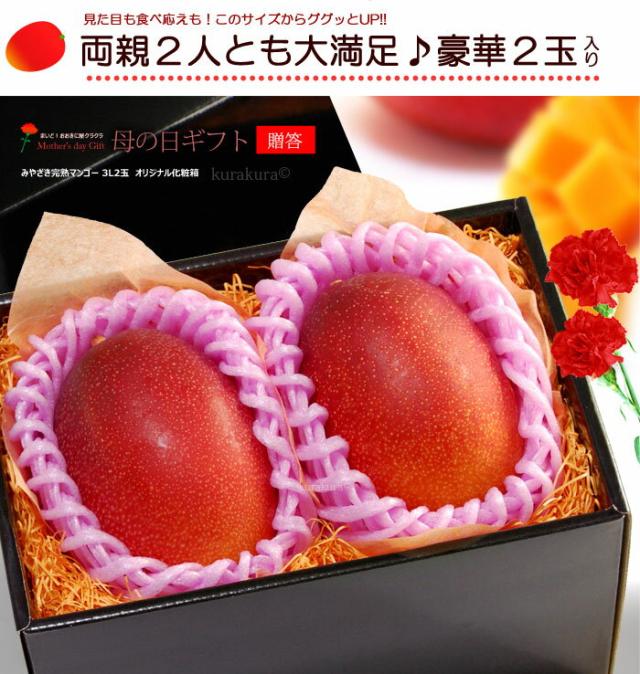 母の日みやざき完熟マンゴー3L2玉化粧箱ギフト販売姿