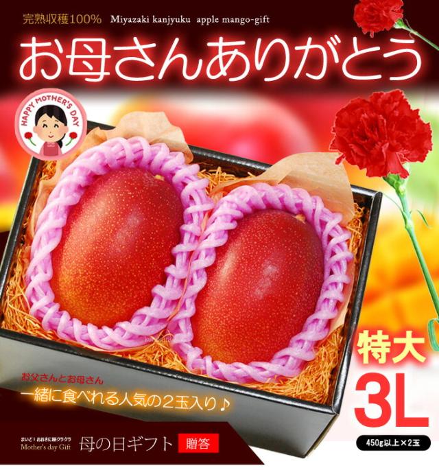 母の日マンゴー太陽のタマゴ(3L2玉)販売/購入