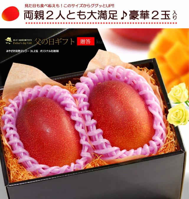 父の日みやざき完熟マンゴー3L2玉化粧箱ギフト販売姿