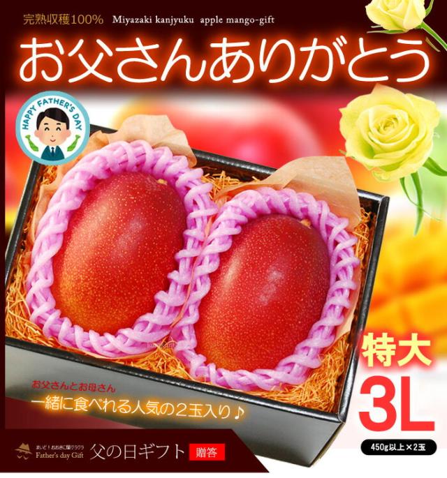 父の日ギフトみやざき完熟マンゴー（3L2玉）販売/購入