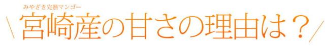 宮崎完熟マンゴー甘さの理由は？
