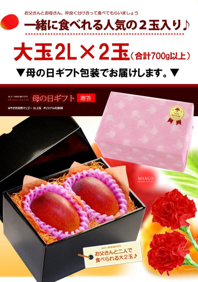 母の日ギフトみやざき完熟マンゴー2L2玉ラッピング